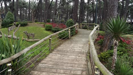 wooden pathway through a pine forest garden