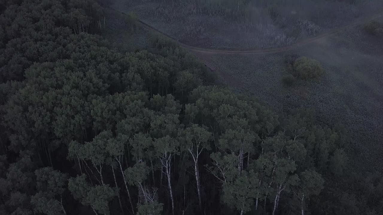 Aerial drone tilt up from treetops to reveal foggy river valley beyond