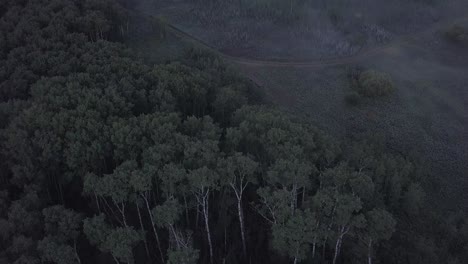 El-Dron-Aéreo-Se-Inclina-Hacia-Arriba-Desde-Las-Copas-De-Los-árboles-Para-Revelar-El-Valle-Del-Río-Brumoso-Más-Allá