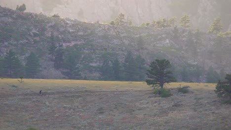 Biker-riding-in-the-mountains-of-Colorado