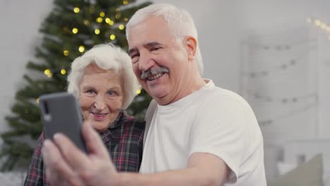 happy senior couple taking a selfie video at home on christmas