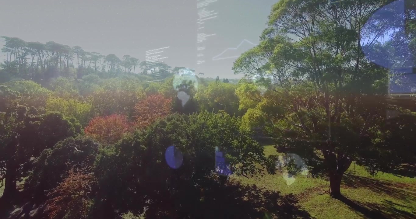 Panoramica della telecamera a destra e in discesa, con sovrapposizioni e sagome che appaiono, mostrando dati sulla salute della foresta