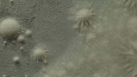 sand-like substance bouncing off of vibrating surface forming cymatic patterns