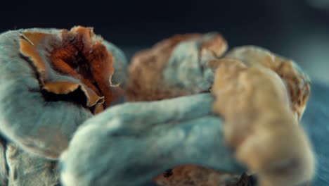 A-Macro-close-up-cinematic-shot-of-a-magical-psychoactive-psilocybin-hallucination-dried-mushroom-with-a-yellow-red-cap,-on-a-rotating-reflecting-stand,-studio-lighting,-Full-HD,-slow-motion-120-fps