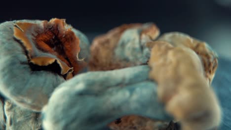 una toma cinematográfica macro de un hongo seco mágico psicoactivo psilocibina alucinación con una tapa roja amarilla, en un soporte reflectante giratorio, iluminación de estudio, full hd, cámara lenta 120 fps
