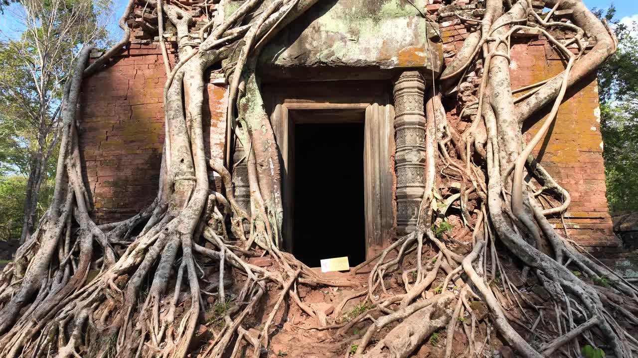 Walkthrough shot captures the ancient stone temple interior of Prasat Bram at Koh Ker, Cambodia, where thick, overgrown roots coil around its doorway.
