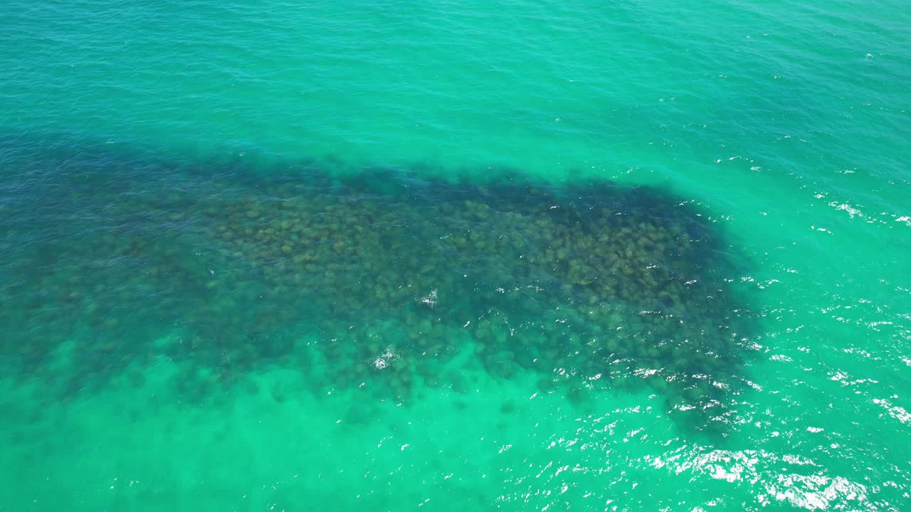 비치의 암초 - 남부 골드 코스트, 즐랜드, qld - 오스트레일리아 - 드론 촬영