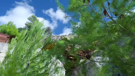 abandoned mine site with rusty machinery and lush vegetation