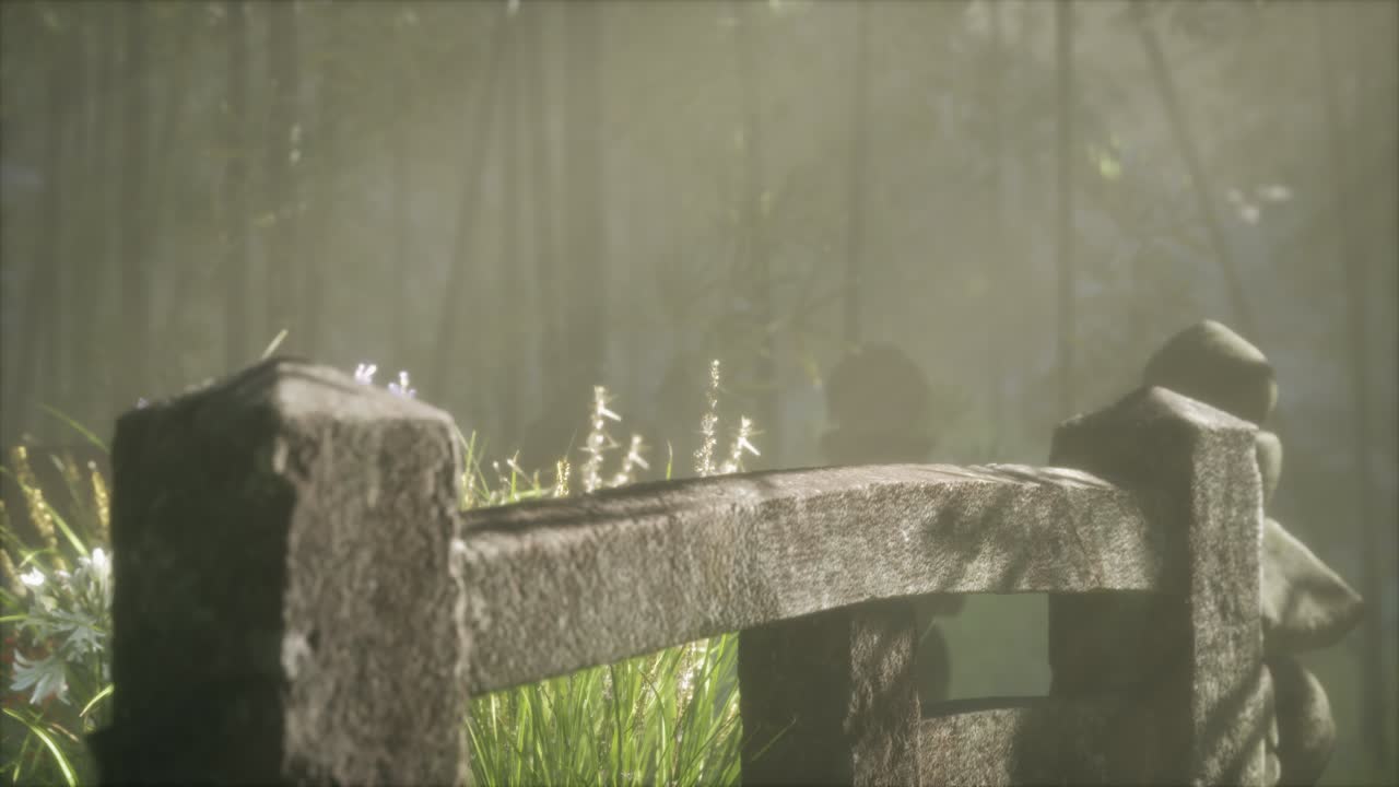 일본 대나무 숲 과 녹색 초원 잔디 와 자연 빛