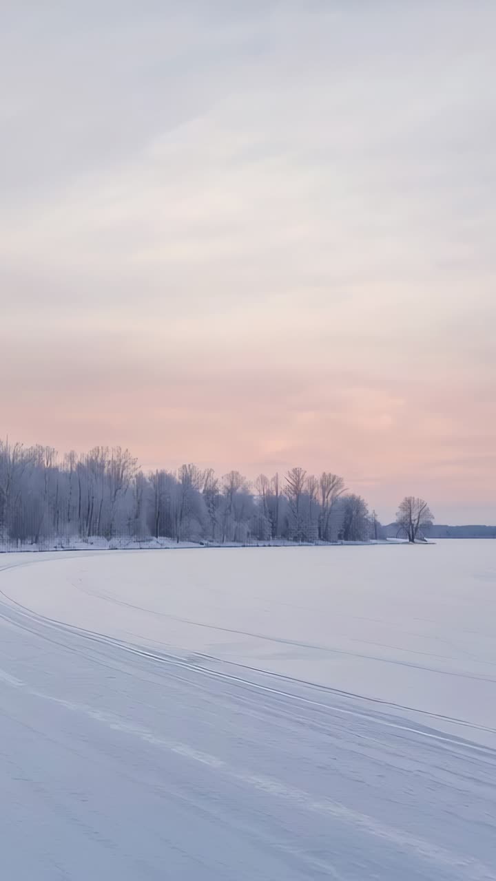 Vertical video: Panning camera centering frosted treeline over frozen lake with tracks