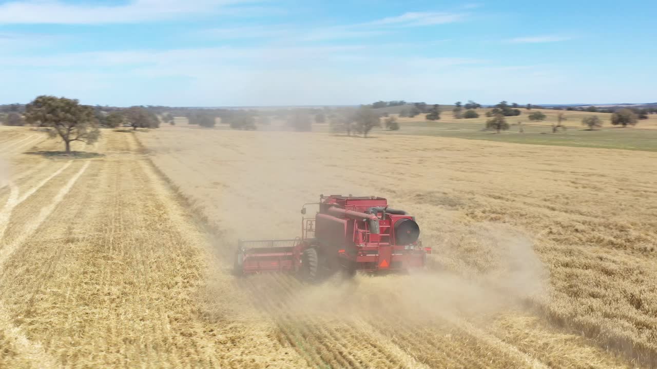 una excelente toma aérea de 360 grados de una cosechadora agrícola levantando polvo y cortando un campo en parkes, nueva gales del sur, australia