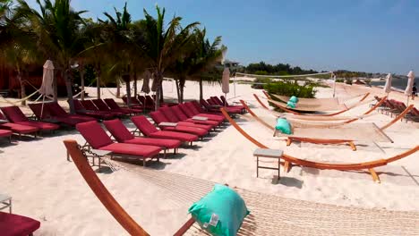 un salón tropical lleno de hamacas y sillas cómodas
