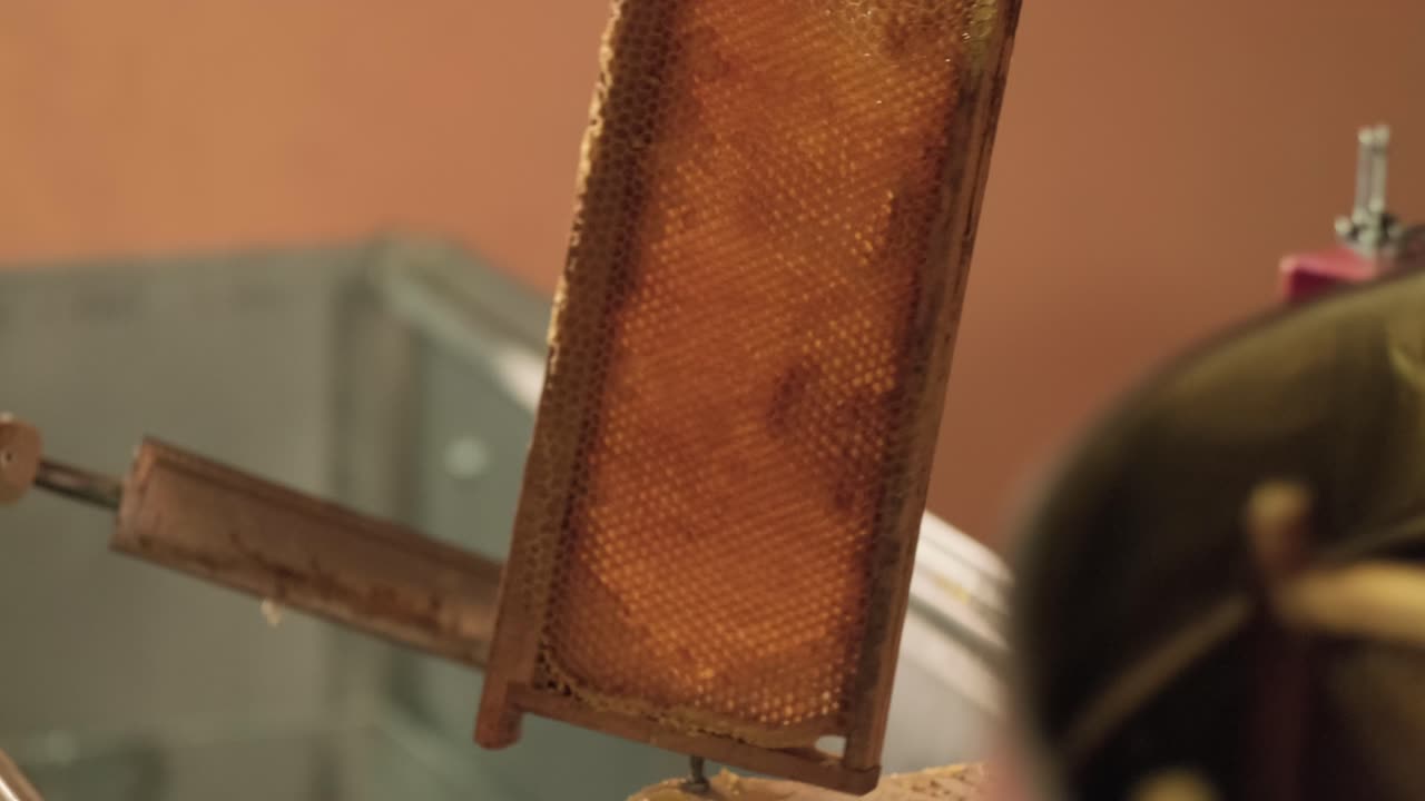 Mano di apicoltore che usa una spatola a coltello per opercolare i favi con il miele da un telaio di cera di legno. Produzione di polline e propoli super freschi e salutari