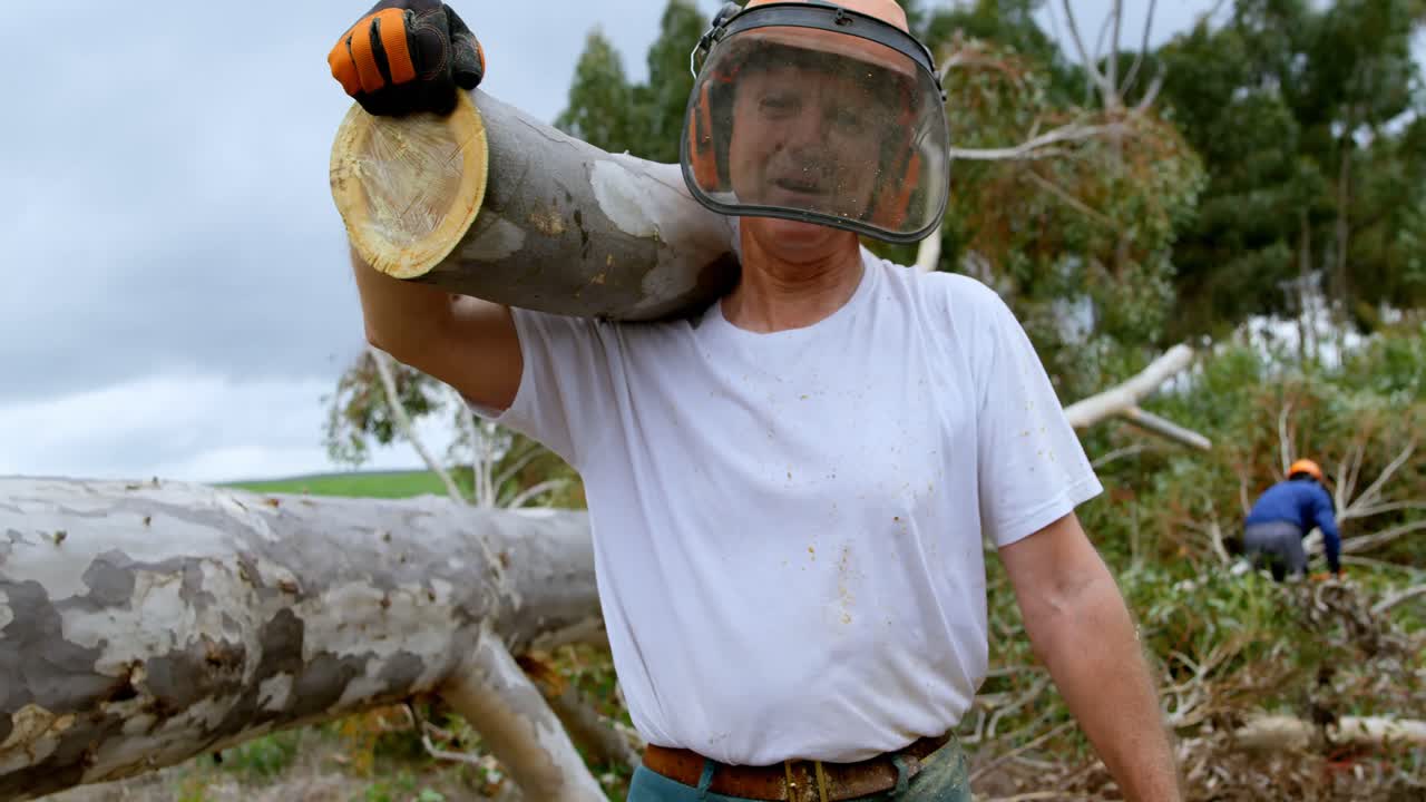 leñador llevando troncos de madera en el bosque 4k