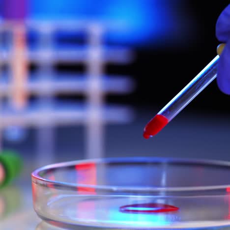 scientist prepare blood sample
