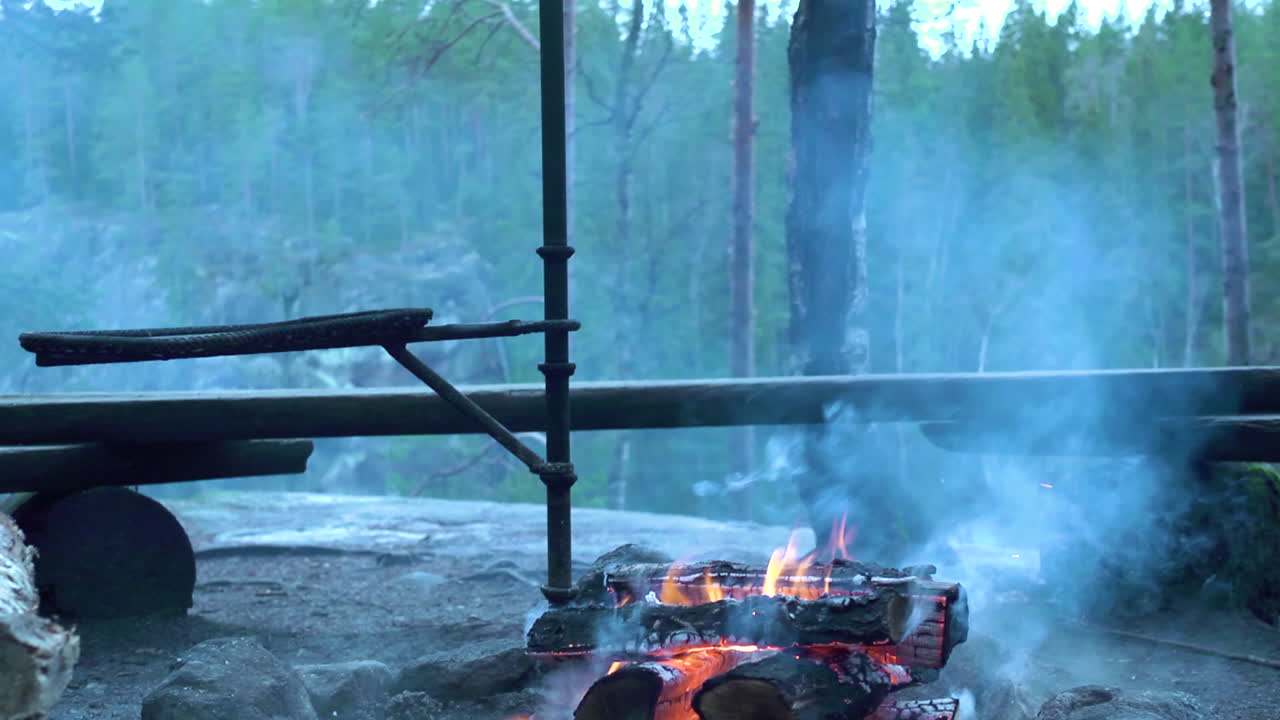 hoguera. maderas ardiendo en la chimenea. llamas y humo