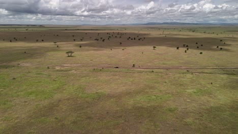 aerial view of a safari truck driving at a distance in the serengeti national park in tanzania during daytime