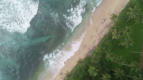 drone aerial footage of sea beach landscape in the morning