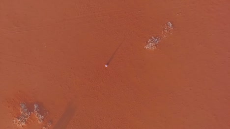 a man site in the desert from above in riyadh saudi arabia