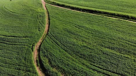 Vista-General-Del-Paisaje-Rural,-Vista-De-Drones