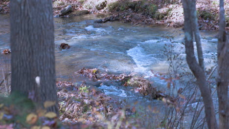 Flussbach-Mit-Herbstblättern