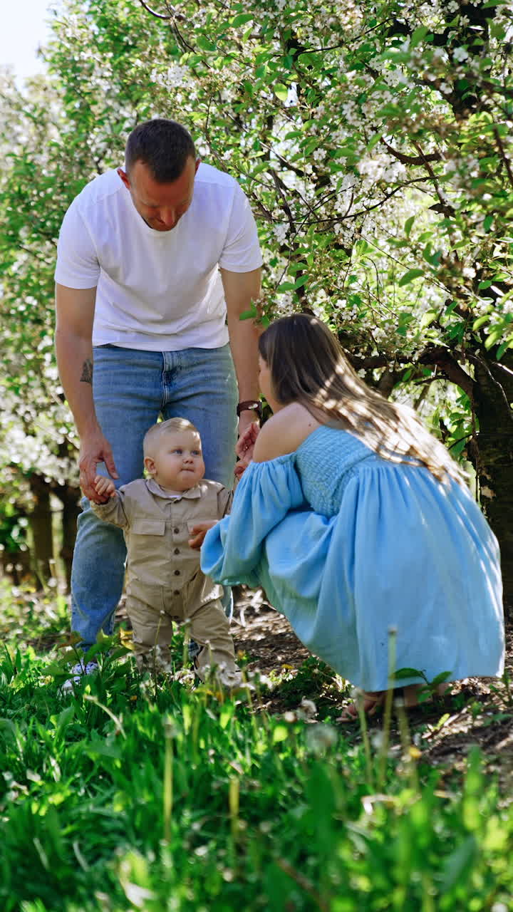 Little blond baby stands held by his father. Mother squatted in front of her child gives him a flower. Vertical video.