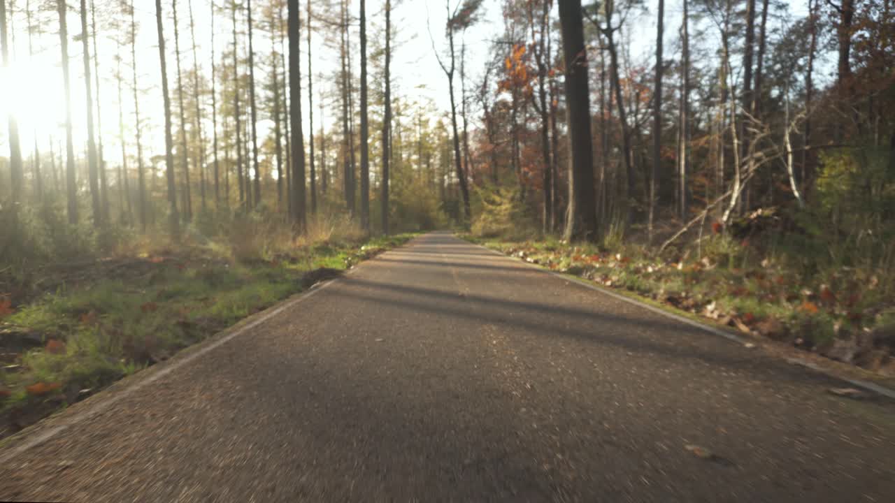 Dolly view through forest, country road adventure, sunlight behind trees