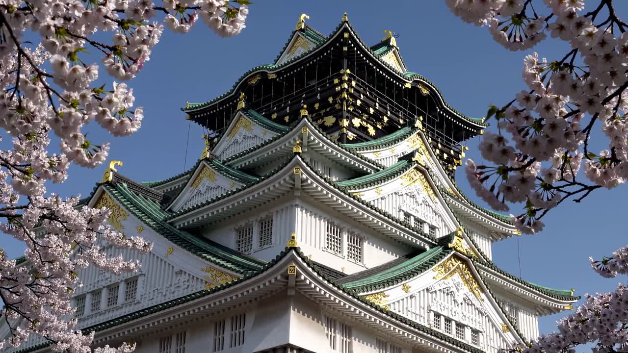 Ripresa video dal basso di un tradizionale castello giapponese incorniciato da fiori di ciliegio.