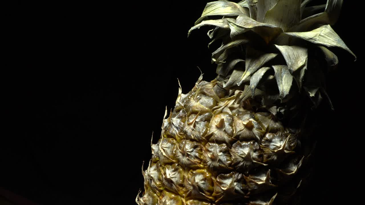 회전하는 파인애플