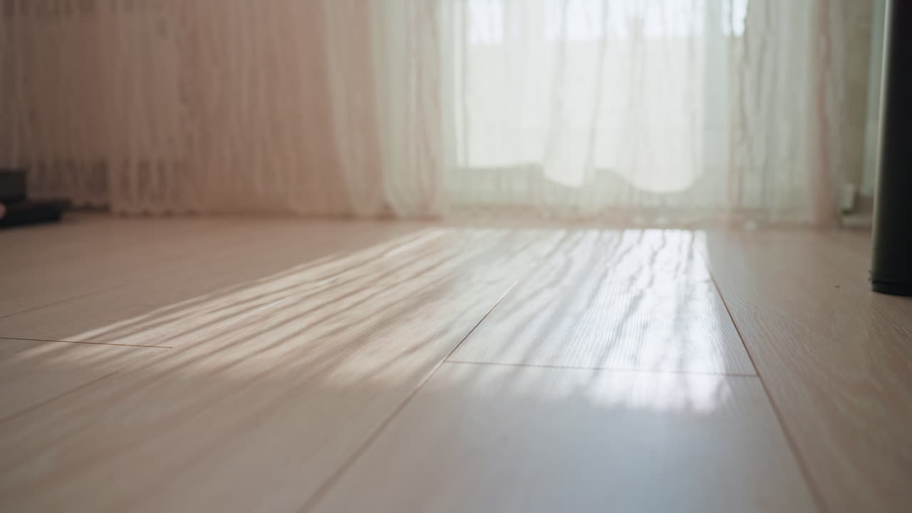 Peaceful Morning Scene, Calm Dawn With Playful Puppy, Sunshine Bathes Cozy Room Peaceful Morning Ritual, Bright Sunlight Filters Through Curtains Illuminating Tranquil Domestic Environment