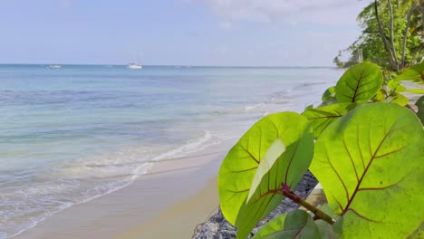 Tranquila-Y-Remota-Playa-Caribeña-Con-Botes-En-Aguas-Turquesas