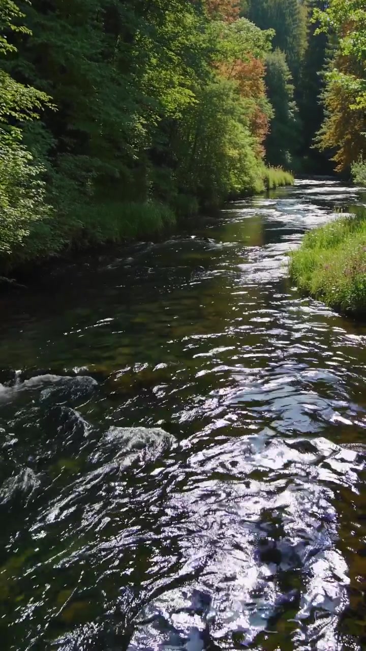 Fiume limpido che scorre attraverso una foresta verde lussureggiante