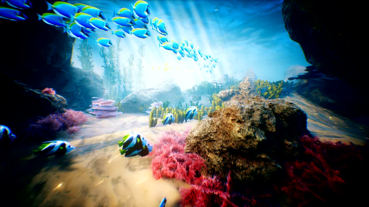 수중 바다의 파도와 열대 물고기