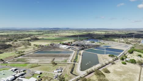 a fishery industry's collection basin seen from a drone, aerial static shot