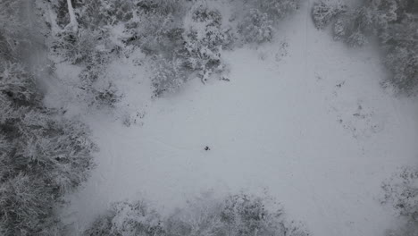 imágenes aéreas de un hombre caminando en la nieve en el bosque