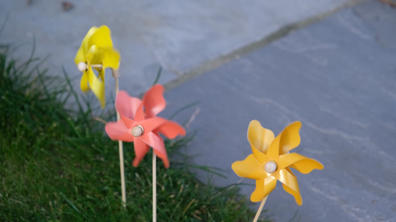 뒷마당에서 매우 빠르게 회전하는 세 가지 색의 핀