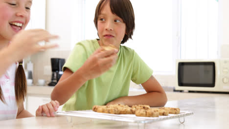 Hermanos-Comiendo-Galletas-Calientes-De-La-Rejilla-Para-Enfriar