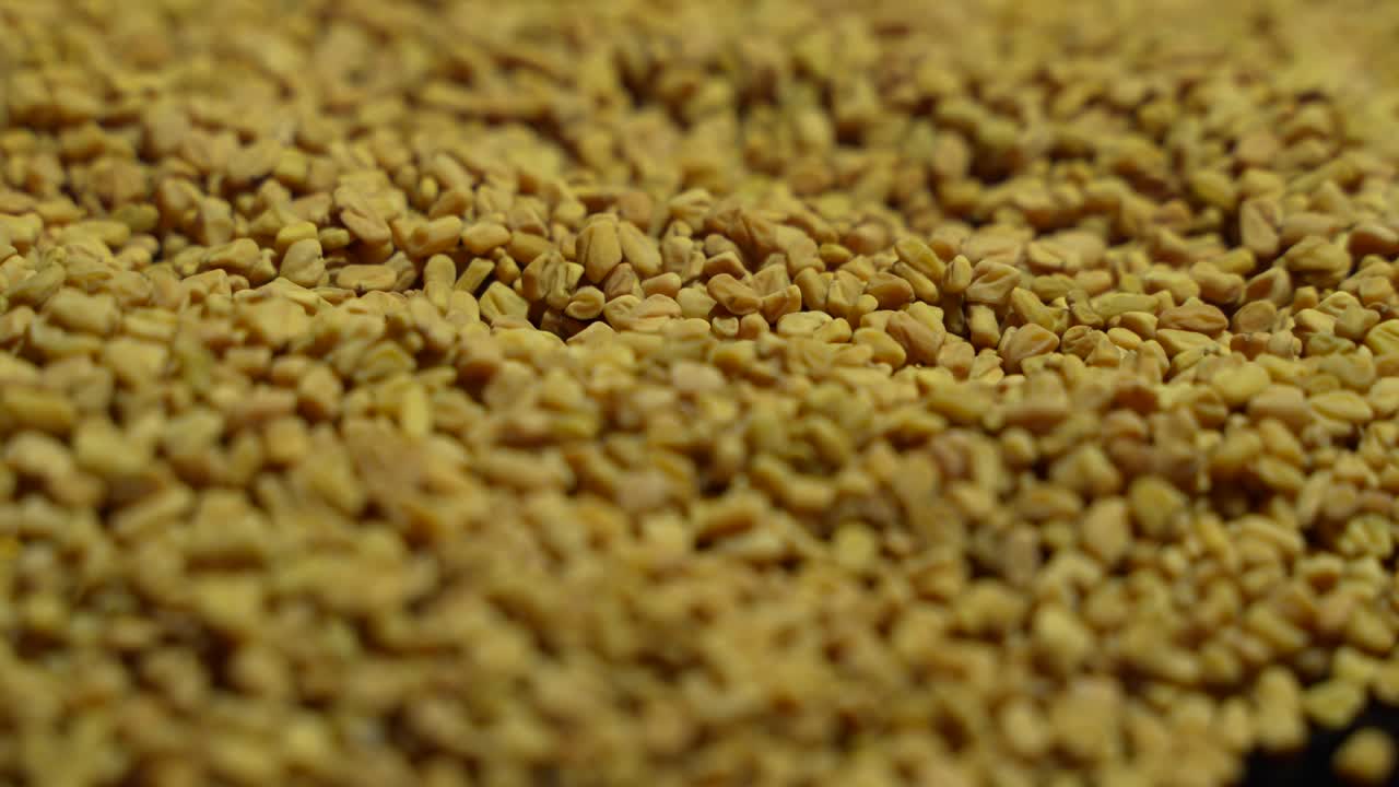 Fenugreek is a beneficial food for diabetes