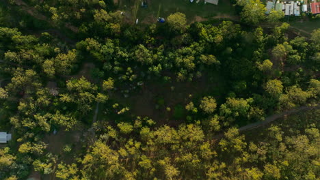 Birdseye-Aerial-Drone-Flyover-Green-Australian-Gumtrees-With-Campsite-And-Houses,-4K