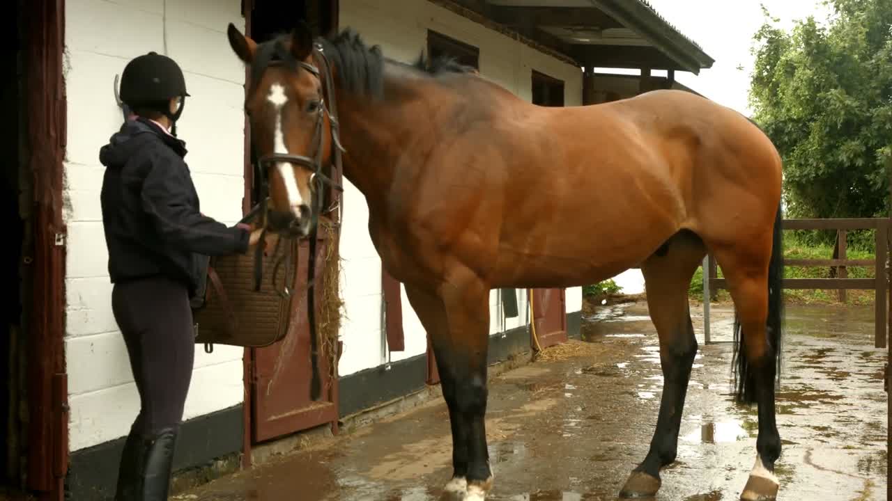 morena con su caballo bonito