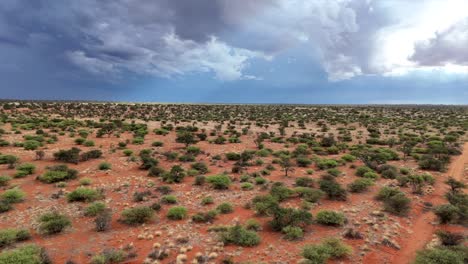 una vista aérea de un dron muestra nubes de lluvia sobre el paisaje del sur de kalahari.