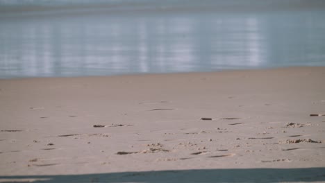 persona adulta caminando en la playa de arena con zapatos y pantalones largos, vista estática