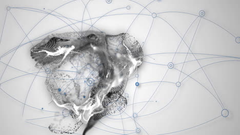 animation of abstract network connections over grayscale illustration of animal