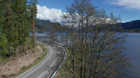 road cyclist riding in beautiful nature in norway