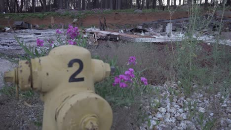 Slider-shot-of-fire-hydrant-with-burned-house-in-Paradise,-California,-wildfire-aftermath