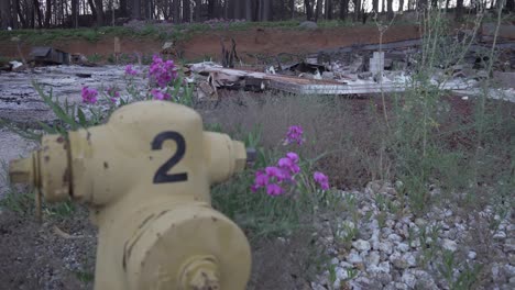 toma deslizante de hidrante con casa quemada en el paraíso, california, secuelas de incendios forestales