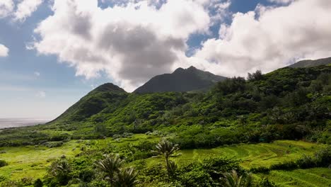 aerial flyover lush tropical landscape, with plantation and waving palm trees on orchid island, taiwan, lanyu, 蘭??