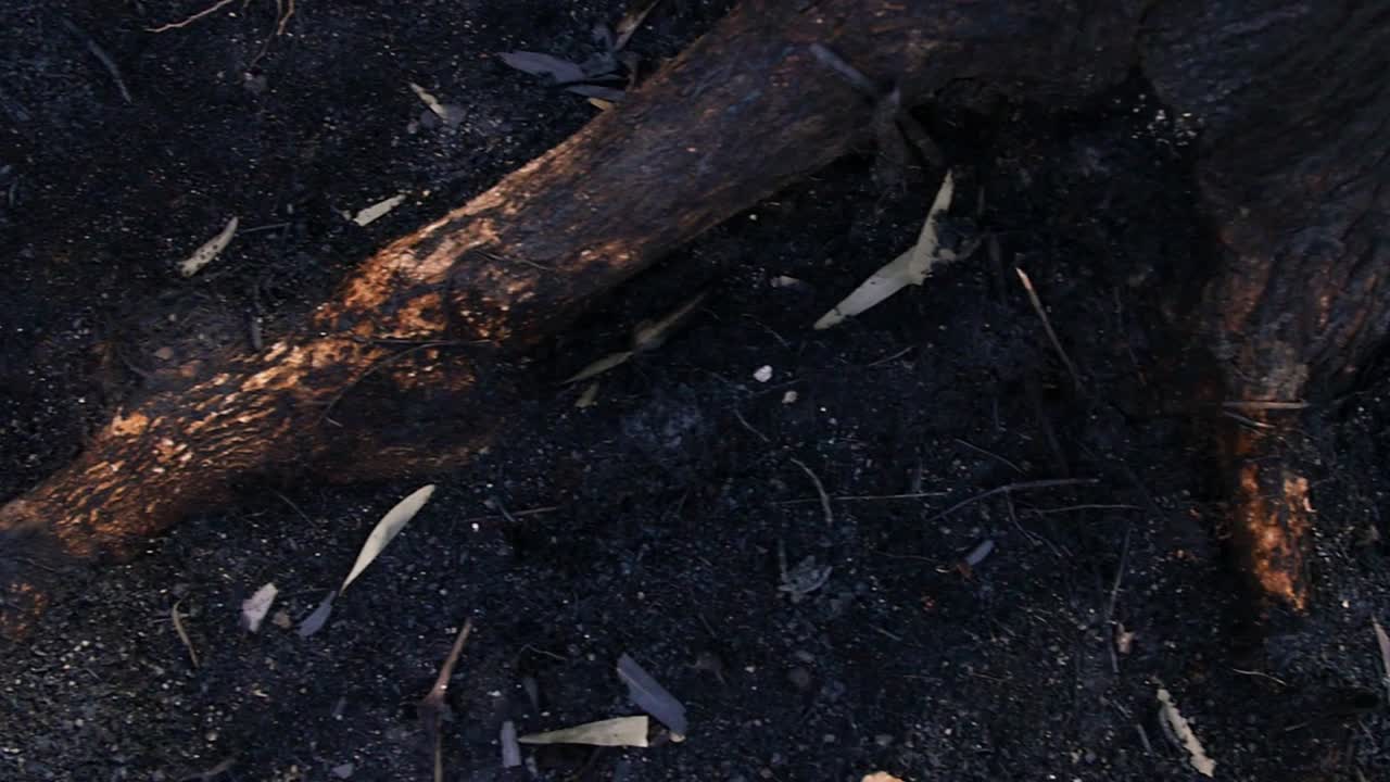 Burnet roof from above after big summer fire