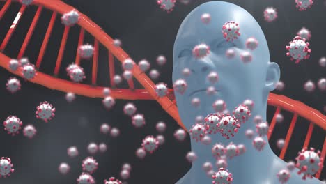 Animation-Des-DNA-Strangs,-Der-Sich-Mit-Covid-19-Zellen-Dreht,-Menschliches-Modell-Auf-Dunklem-Hintergrund.-Globale-Medizin