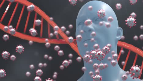 Animación-De-La-Cadena-De-Adn-Girando-Con-Células-Covid-19,-Modelo-Humano-Sobre-Fondo-Oscuro.-Medicina-Global